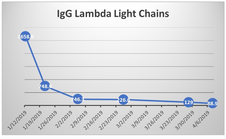 Lambda Light Chain Graph