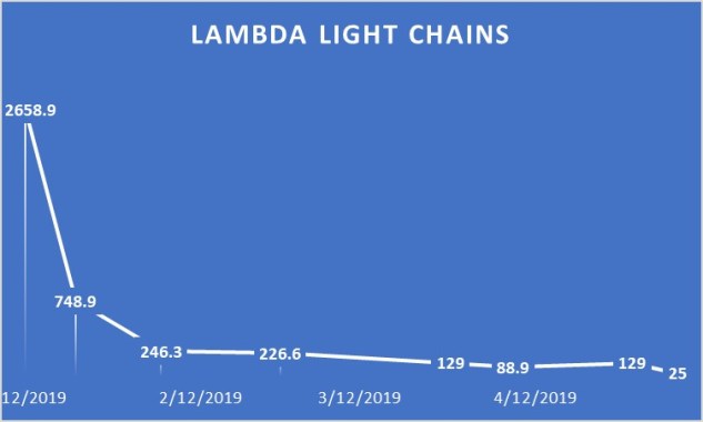 Lambda Light Chain Graph